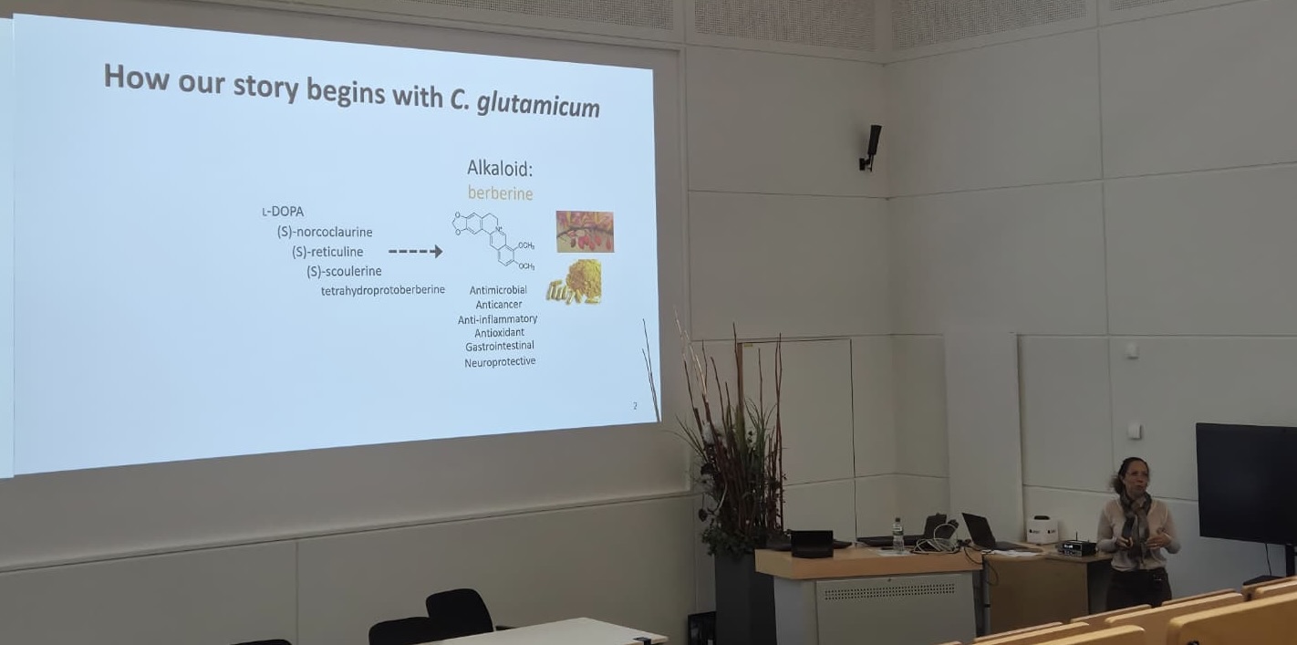 WhatsApp Image 2025-10-23 at 11.25.21 AM.jpeg (117 KB)