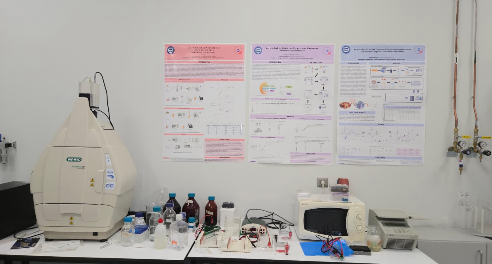 WhatsApp Image 2025-08-19 at 4.42.07 PM.jpeg (87 KB)